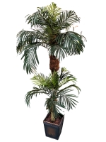 70" Tall Artificial Pygmy Date Palm Tree in Pot