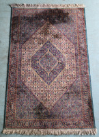 Persian Area Rug , 46"×74" - Pre-owned , No Wear , Some Stains