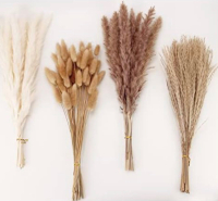 New Dried Pampas Grass Decor, 100 PCS Pampas Grass Contains Bunny Tails Dried Flowers