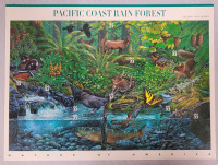 2000 US Postal ' Nature of America : Pacific Coast Rain Forest ' Stamp Sheet , 33 Cent Stamps