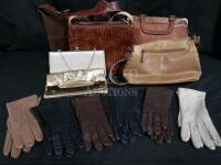 Women's Purses and Gloves