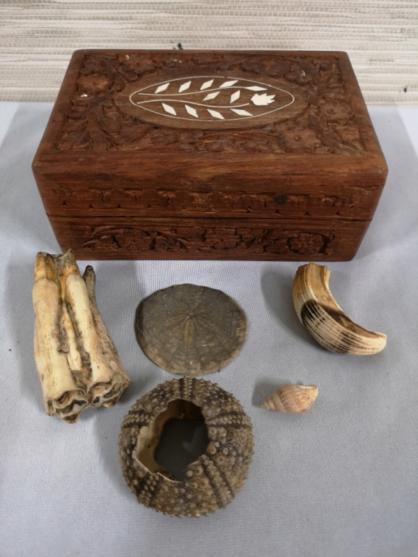 Wooden Jewelry Box with Bone and Sea Shells