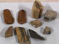 9 Various Natural Raw Rocks - Petrified Wood(?)