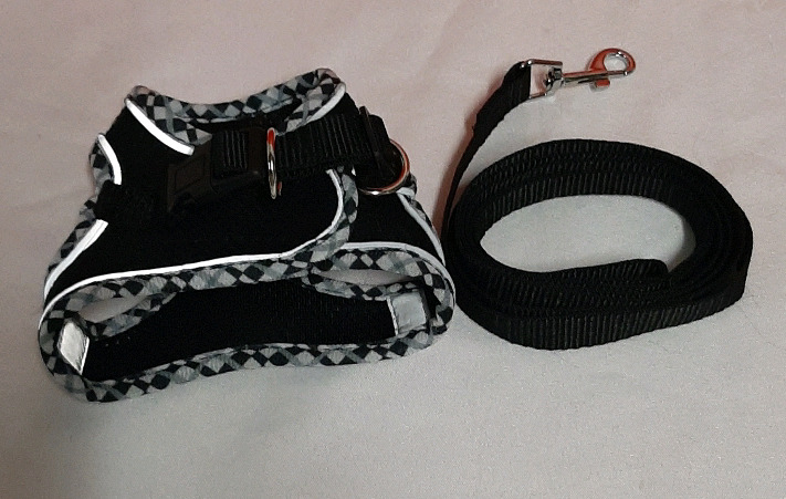 New Gentle Harness with 54 inch Leash Size XXS