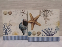 2 As New Seashell Canvas Wrapped Pictures 12 by 12"