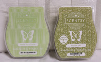 New - Scentsy Bars . Amazon Rain and White Tea & Cactus . 74g Bars