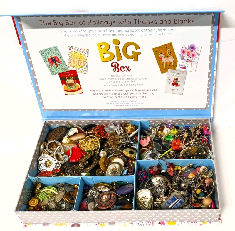 Assorted Unpaired Earrings for Crafting in Large 14" x 8.5" x 2"