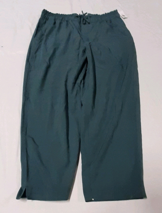 New Size L Petite Pants