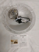Fridecko Home Ceiling Light (12inches)