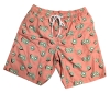 New Size Medium Amazon Basics Kiwi Swimming Trunks