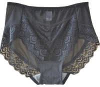 New Lasricas Women's Hi Cut Panty Soft Lace Panty Microfiber Full Coverage