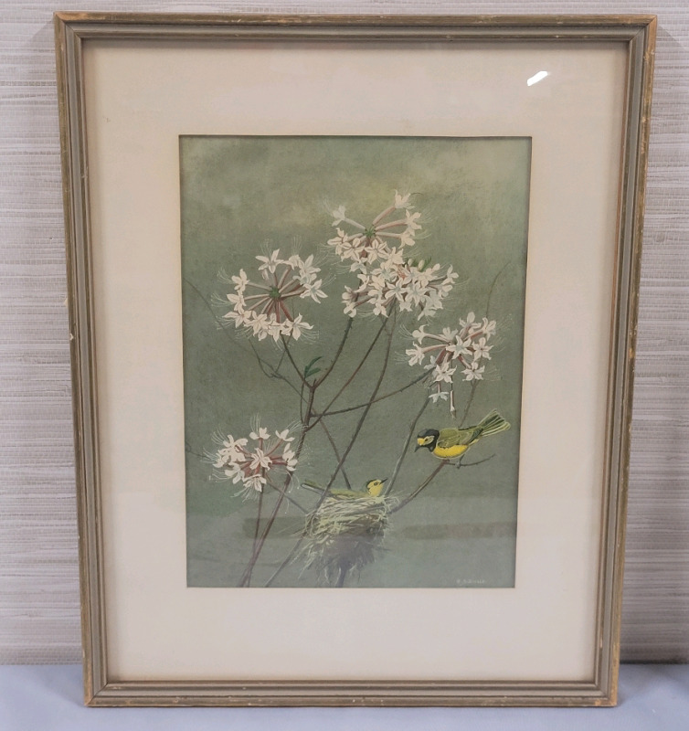 " Hooded Warbler & Wild Azalea " by Edward Dingle Framed Gouache on Paper