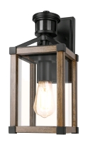 New Dewenwils Motion Detecting Outdoor Wall Light. Model HOWL07C. 13.5" Tall.