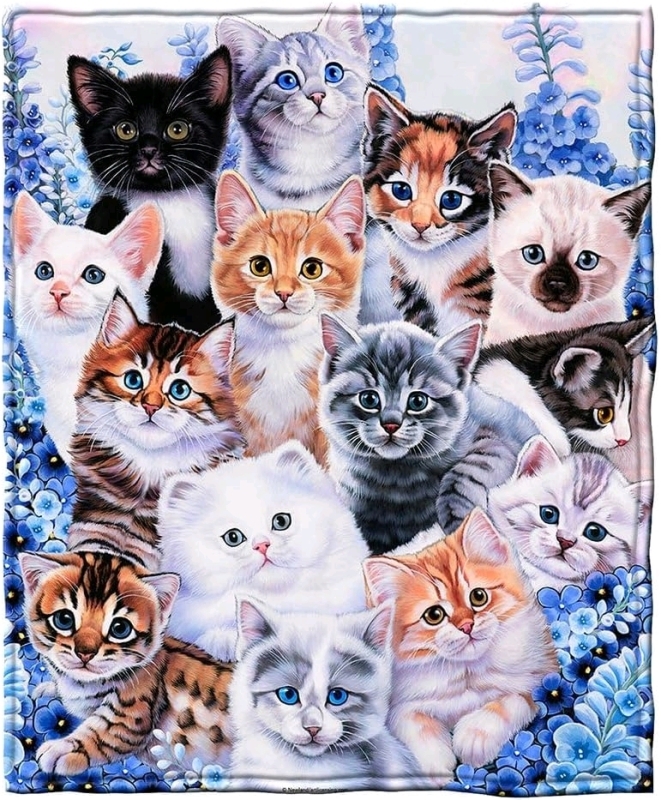 New KITTEN COLLAGE Super Soft Blanket 50" x 60" by Dawhud Direct #Y483