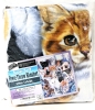 New KITTEN COLLAGE Super Soft Blanket 50" x 60" by Dawhud Direct #Y483 - 2