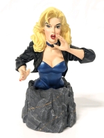 DC Comics BLACK CANARY : Super-Sonic Siren Mini-Bust 5" Tall w Original Box