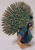 New - Elegant Fantail Peacock Metal Garden Sculpture , Indoor and Outdoor Décor - 2