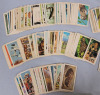 Vintage Red Rose / Blue Ribbon Tea Trading Cards . 2 Complete Sets Ser. #12 & #13 . 350+ Cards - 3