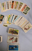 Vintage Red Rose / Blue Ribbon Tea Trading Cards . 2 Complete Sets Ser. #12 & #13 . 350+ Cards - 4