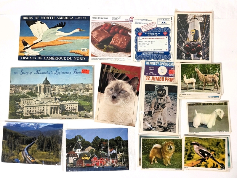 Vintage Post Cards, Animal Identification Cards, Recipe Cards, Kennedy Space Center Prints +