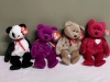 7 Ty Beanie Babies - Ghost, Owl, Dog & Bears - 2
