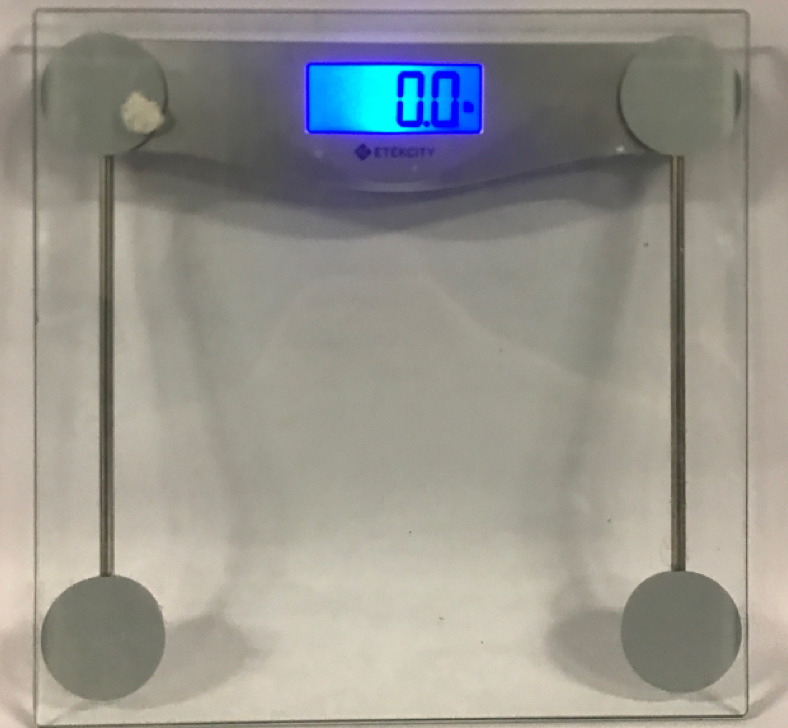 Etekcity 12”x12” Glass Scale