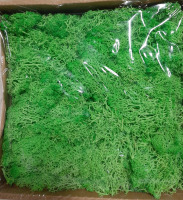 New HFlora Soft Natural Preserved Moss