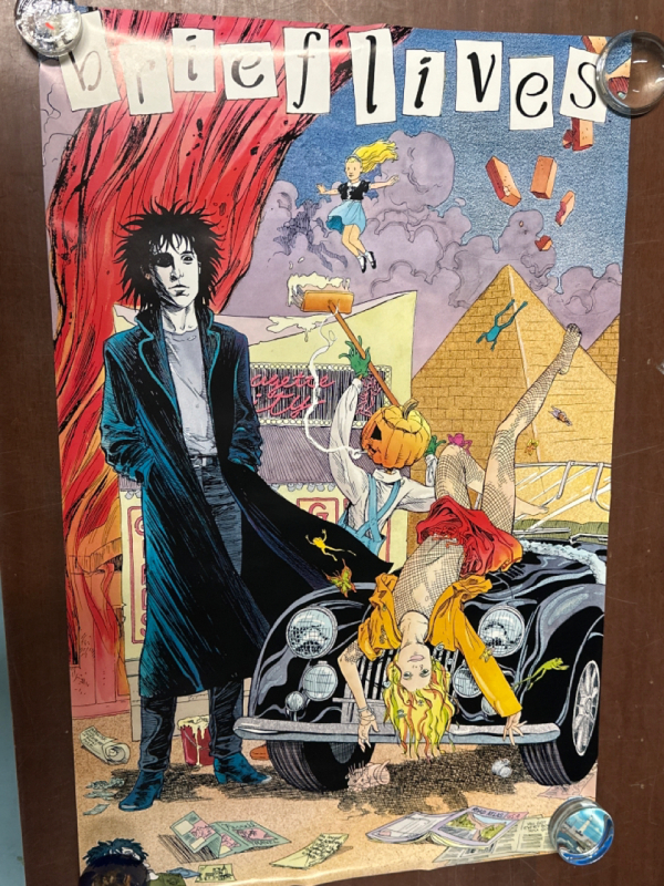 Vintage The Sandman Brief Lives Poster Art by Jill Thompson Vince Locke Danny Vozzo 1993 22” x 33”