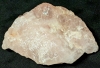 Large Chunk of Rose Quartz & Small Potentially Calcite Sparrow Head | 427.9g & 29.9g Weights - 3