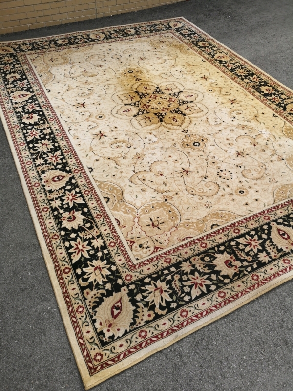 Large Area Rug - 118" long and 110" wide