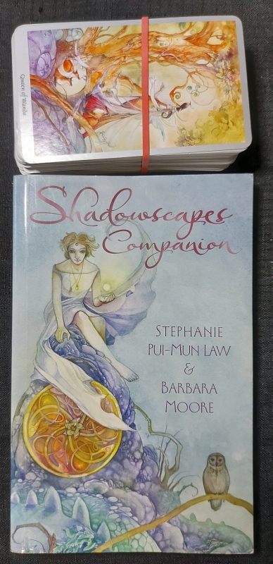 Tarot Cards And Book Shadowscapes Companion Pre Owned Good Condition