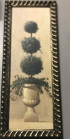 Framed Plant Print 40&rdquo;x16&rdquo;