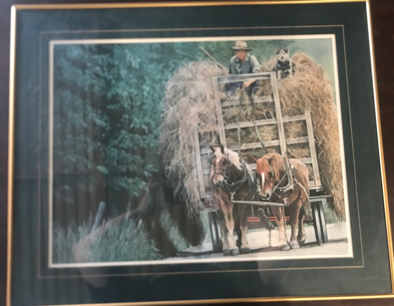 30&rdquo;x24&rdquo; Framed Horse Hay Carridge Print