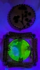 Gorgeous Vintage Uranium Glass Square Coils Brooch (1.6" x 1.6") & Preserved 3-Leaf Clovers Brooch (1.15" Diam) - 2