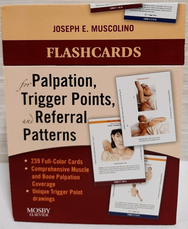 Flashcards for Palpation, Trigger Points & Referral Patterns