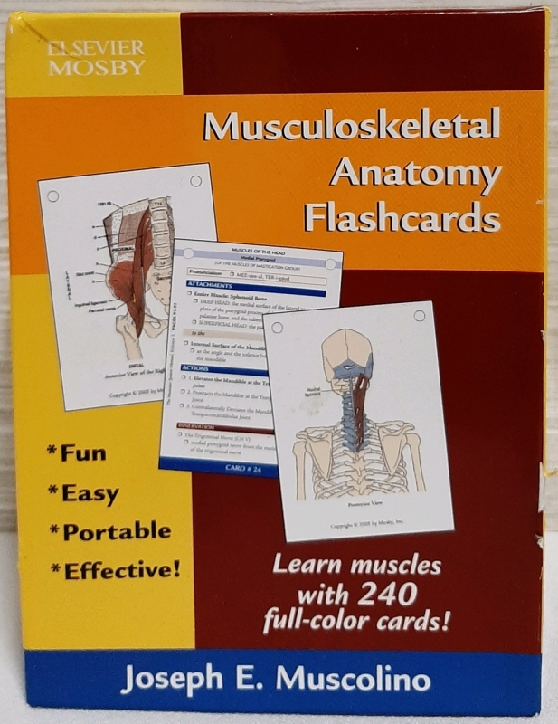 Musculoskeletal Anatomy Flashcards