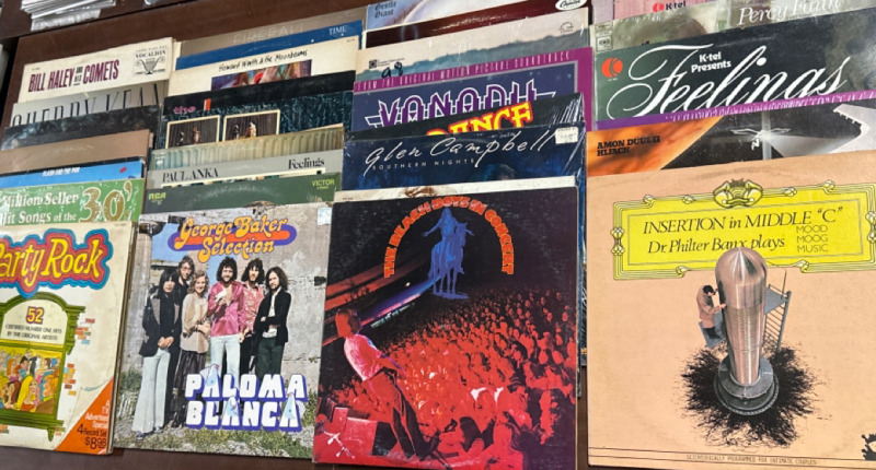 32 Vintage Vinyl Records Including The Beach Boys In Concert Party RockBill Haley and Hos Comets & Much More Pre-Owned