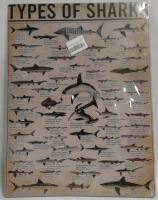 New Types Of Sharks 12x16" Metal Sign