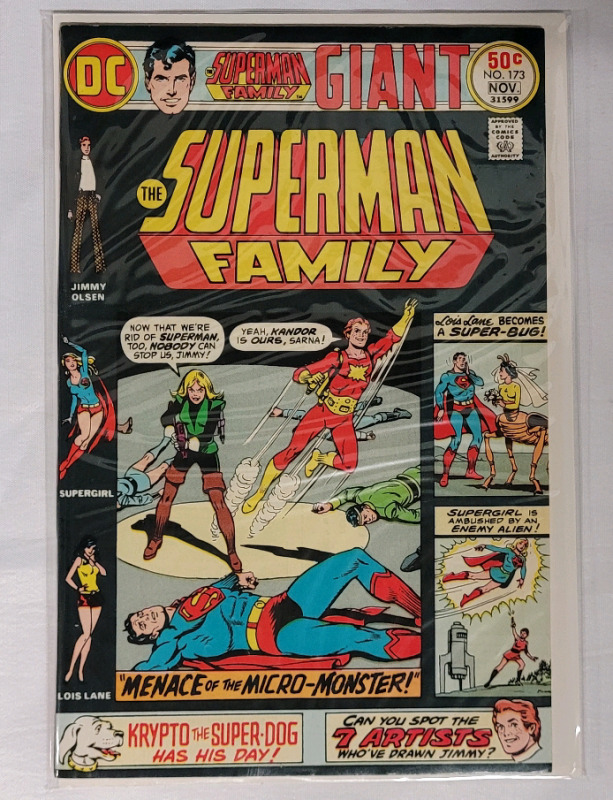 1975 DC Coimics THE SUPERMAN FAMILY #173 . Bronze Age Comic . Bagged & Boarded