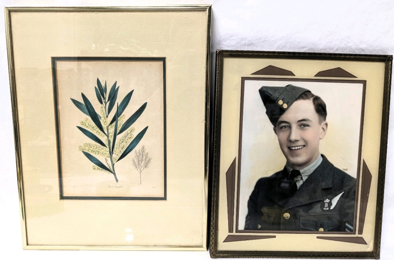 Vintage Framed RCAF Serviceman Portrait Photographed at Harkness Studio (10" x 12") & Vintage Framed Hand-Colored Botanical Print from "Antique Prints, Toronto" (11.25" x 14.25")