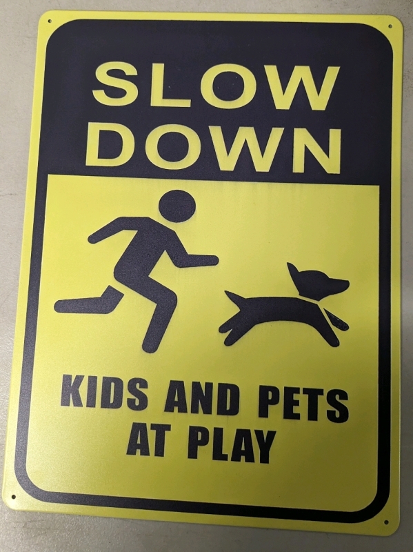 New Slow Down Kids At Play 12x16" Metal Sign