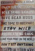 New Metal Sign-Life Lessons From Bear 11.75" X 8"