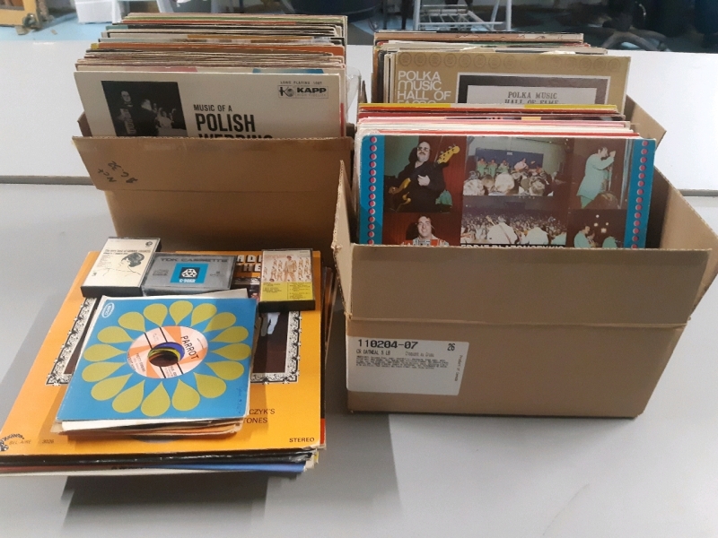 Lot Of 50+ Assorted Polish / Polka Music Records