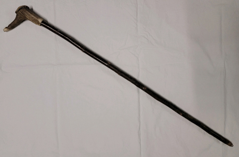 Bone Handel Wooden Walking Cane with Whistle Carved into Handle . Measures 35 1/4" long