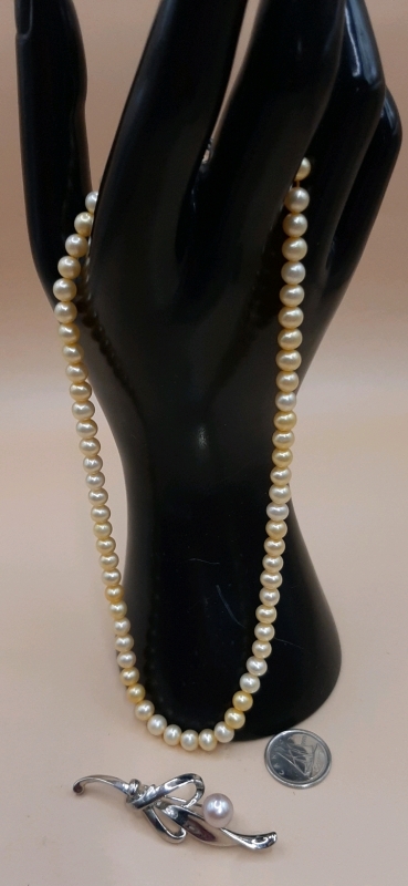 Vintage Strand of Freshwater Pearls w/ a Sterling Silver Clasp Vintage Sterling Silver Brooch w/ Freshwater Pearl