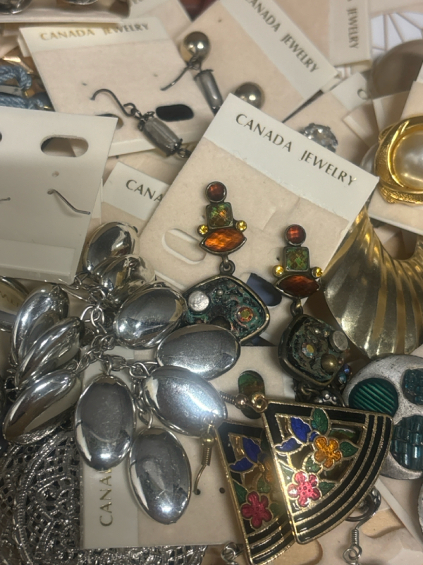 Assorted Pierced Earring in Latched Box