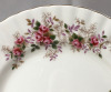 Royal Albert Lavender Rose Salad Plates - 2