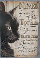 Cat Metal Tin Sign 12x8"