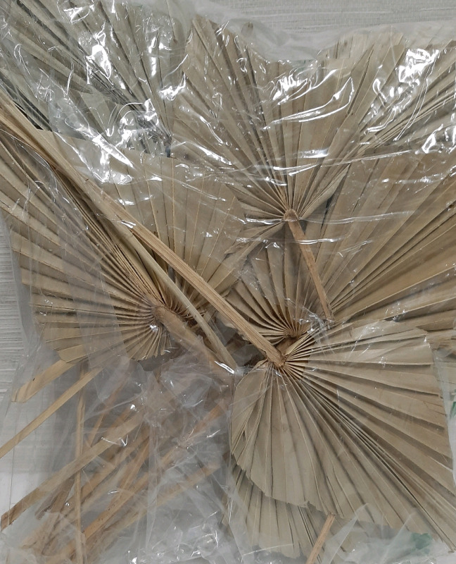 15 New Dried Palm Leaves Mixed Sizes in Package