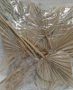 15 New Dried Palm Leaves Mixed Sizes in Package